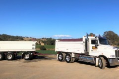 dog-trailer